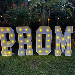 4FT PROM Letters Display with Lights. Batteries included. Fully assembled.