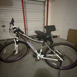 Adult Mountain Bike 