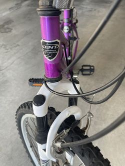 Kent terra 2.4 mountain bike best sale price