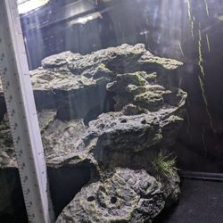 Aquarium Rocks Large