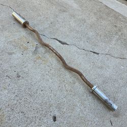 Olympic Curl Bar 