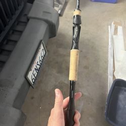 Fishing Rods For Sale 