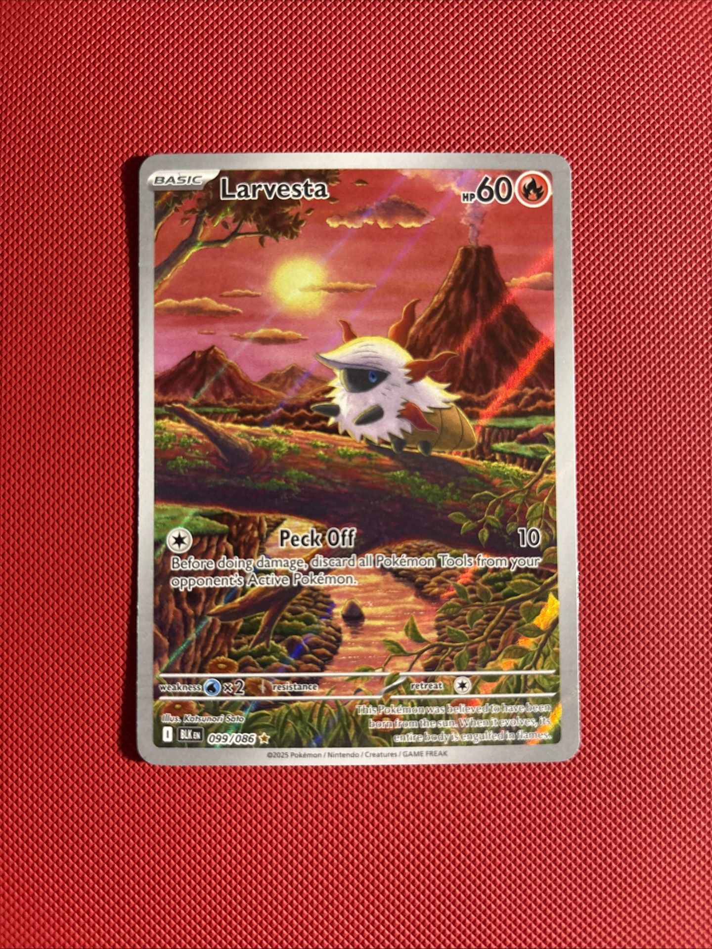 Black Bolt Larvesta Card 099/086 Rare English Illustration