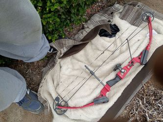 Genesis compound bow mini