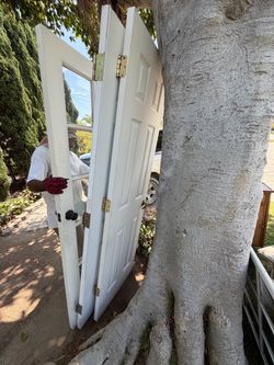 Interior & Exterior paneled doors w/ hardware.