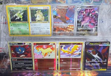 Pokemon lot
