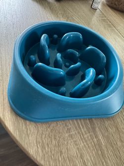 Slow Feeder for Dog