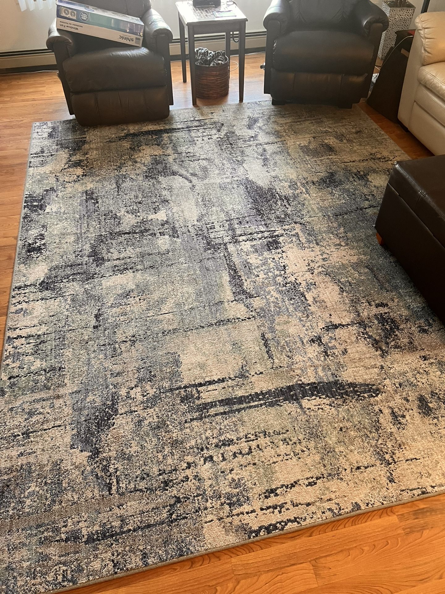 Steinhafels Area Rug 10’x8’