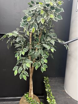 Decorative trees
