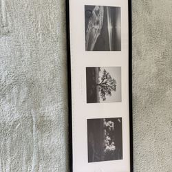 Ansel Adams Framed Print
