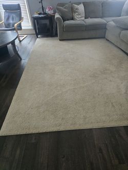 Area rug 8x10 beige