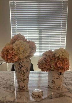 vases