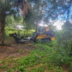 Brush Cutter & Clearing Land 