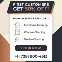 🎄 LAST MINUTE Holiday Cleaning – 50% OFF (Until Dec 24!)