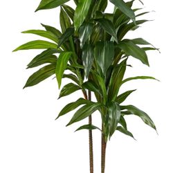 48in Dracaena Silk Plant