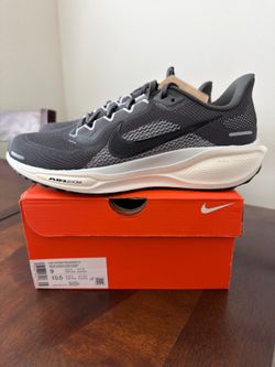 Size 9 Men- Nike Pegasus 41 “grey”
