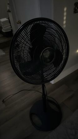 Black fan