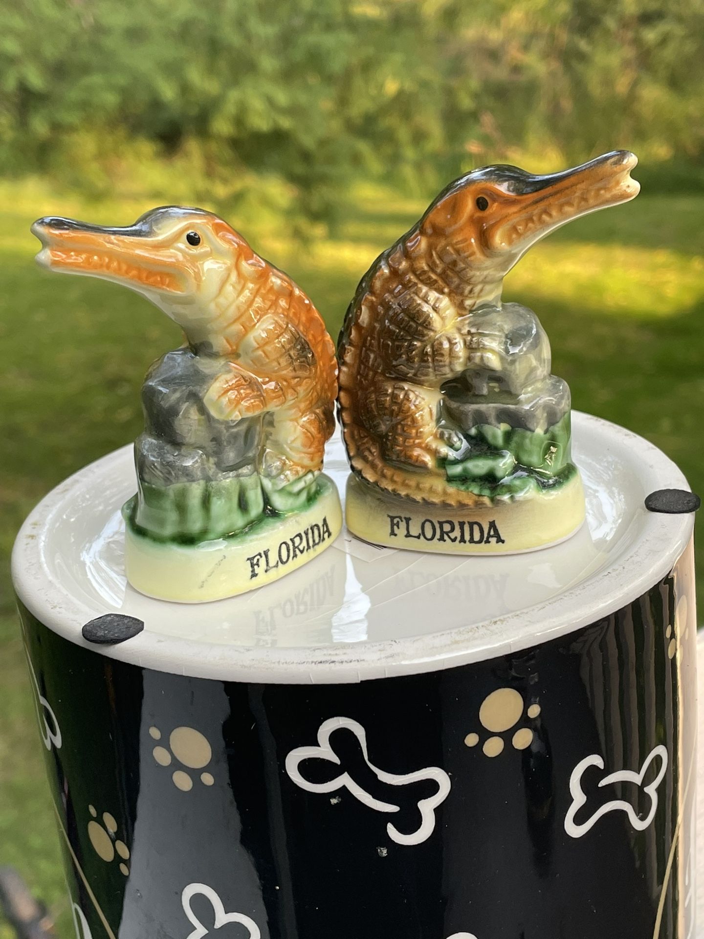 Florida Alligator Salt and Pepper Shaker Set  Gator MCM Souvenir Vintage Japan