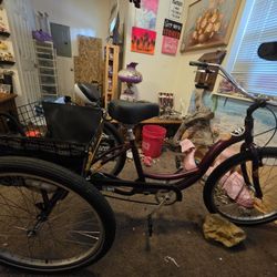Schwinn Meridian 26" Specialty Tricycle Beach Cruiser
