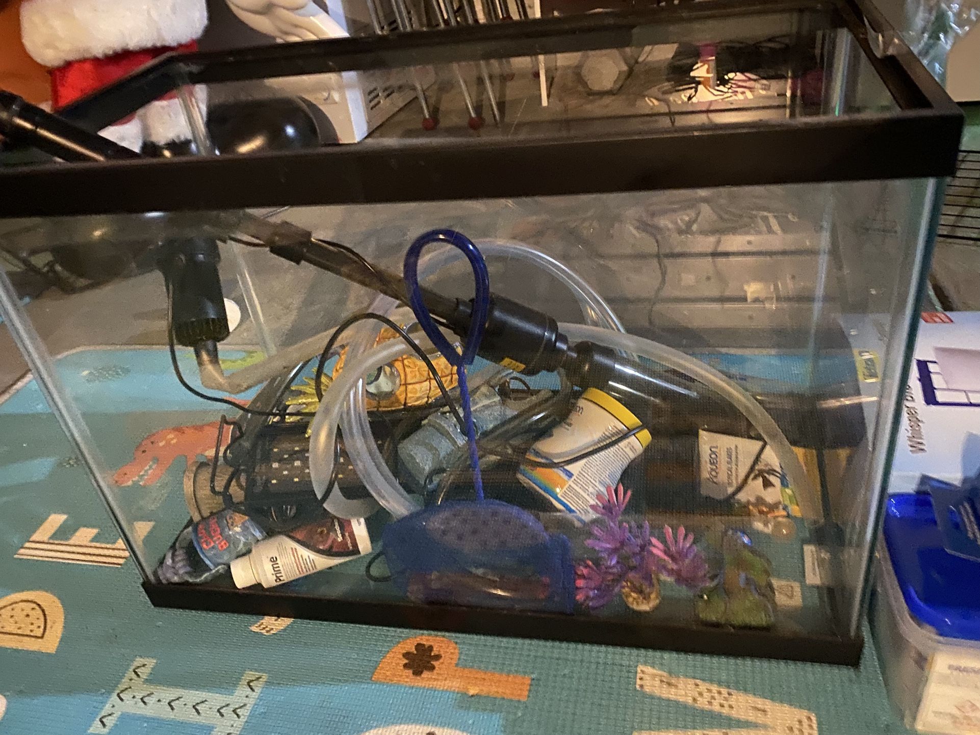 20 Gallon Fish Tank