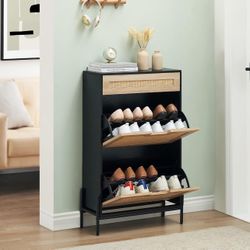 Shoe Storage Cabinet