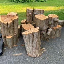 Campfire Wood 