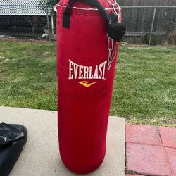 Boxing Bag