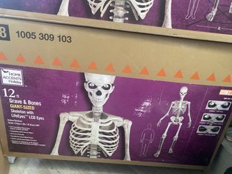 Halloween skeleton 12’ Giant size