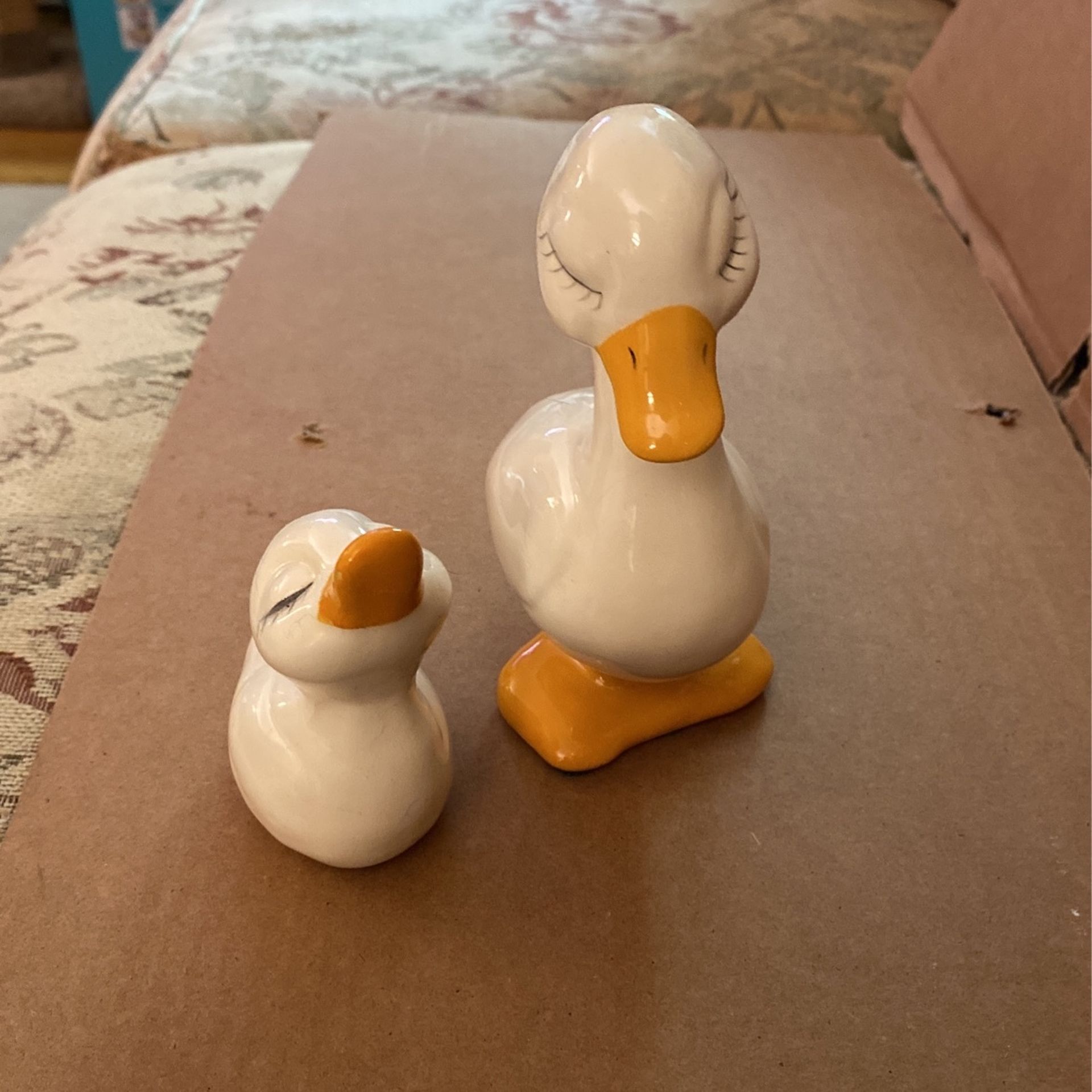 Ducks