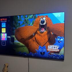 LG OLED 65G4 WEBOS Smart Tv 