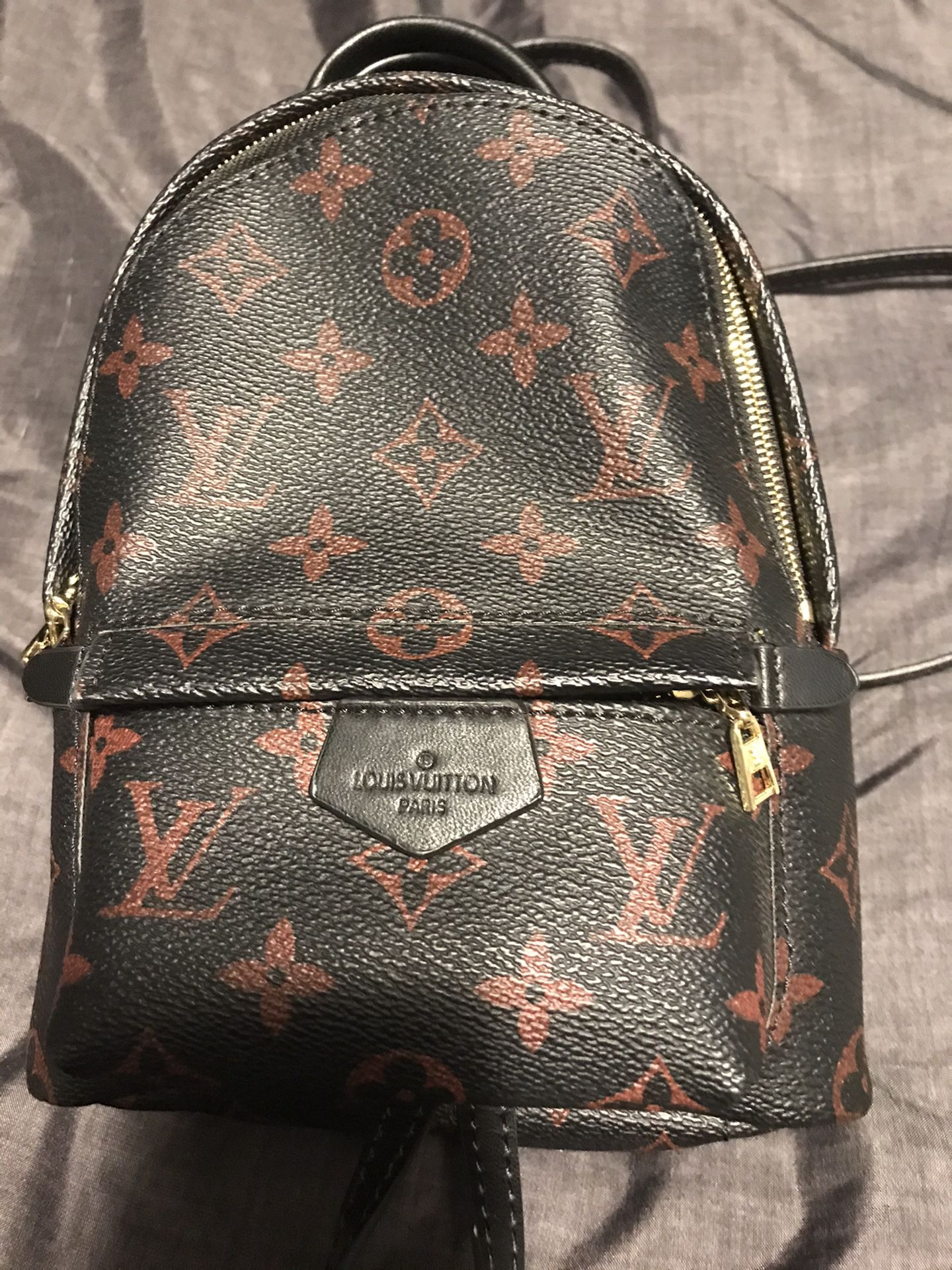Louis Vuitton Palm Springs PM Backpack for Sale in Irving, TX