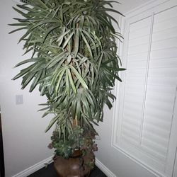 Artificial House Plant
