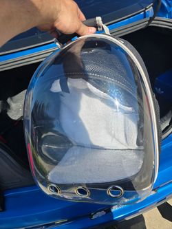 Kitten backpack