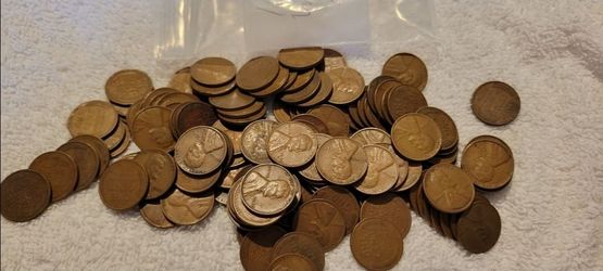 1 pound of unsearched Wheat Pennies! SALE TODAY!
