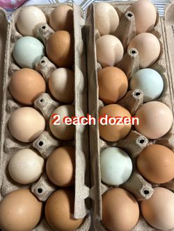 Cage free eggs