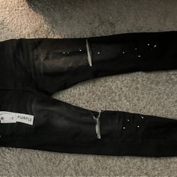 Black Purple Jean Apricot