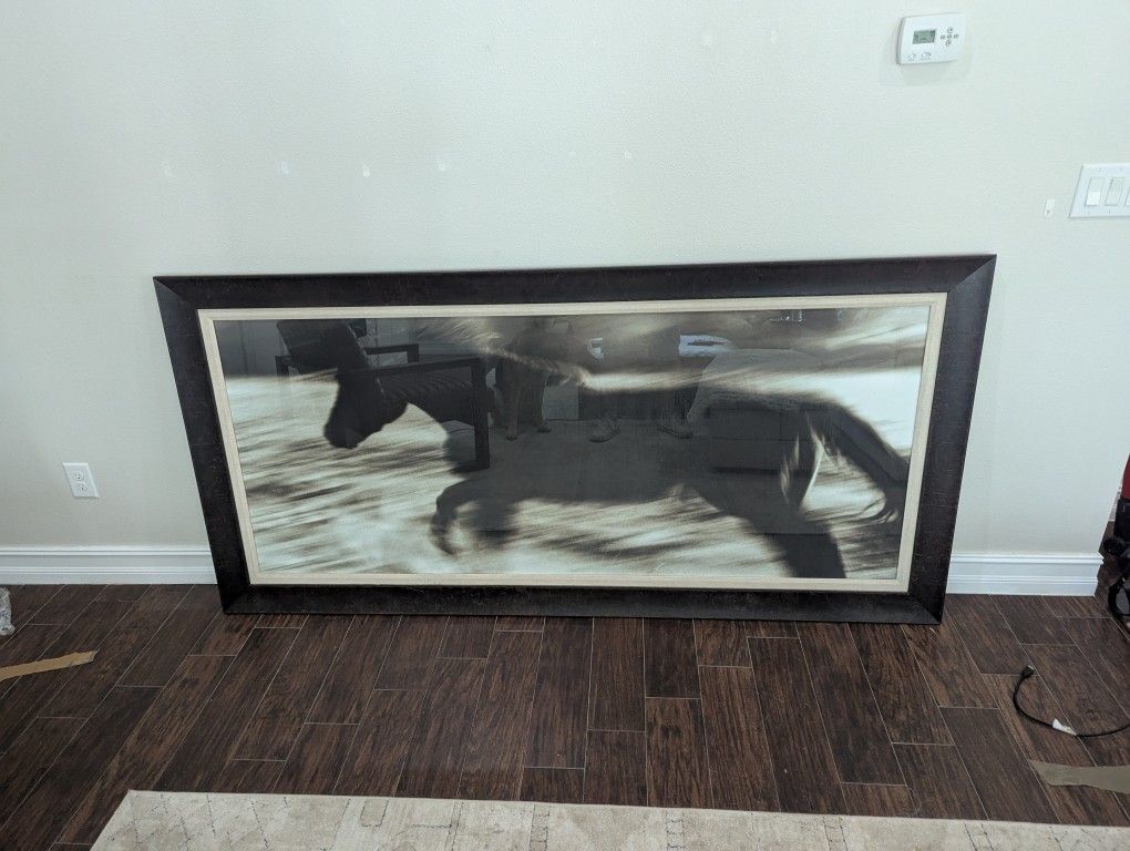 Horse Picture
