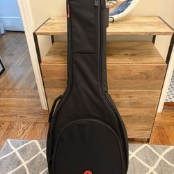 Road Runner Guitar Case