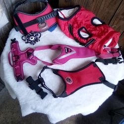 My Doggy Care Bundle