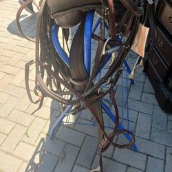 Riding  Horse  Equipment 