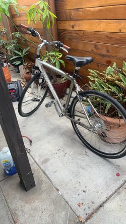 Trek bike
