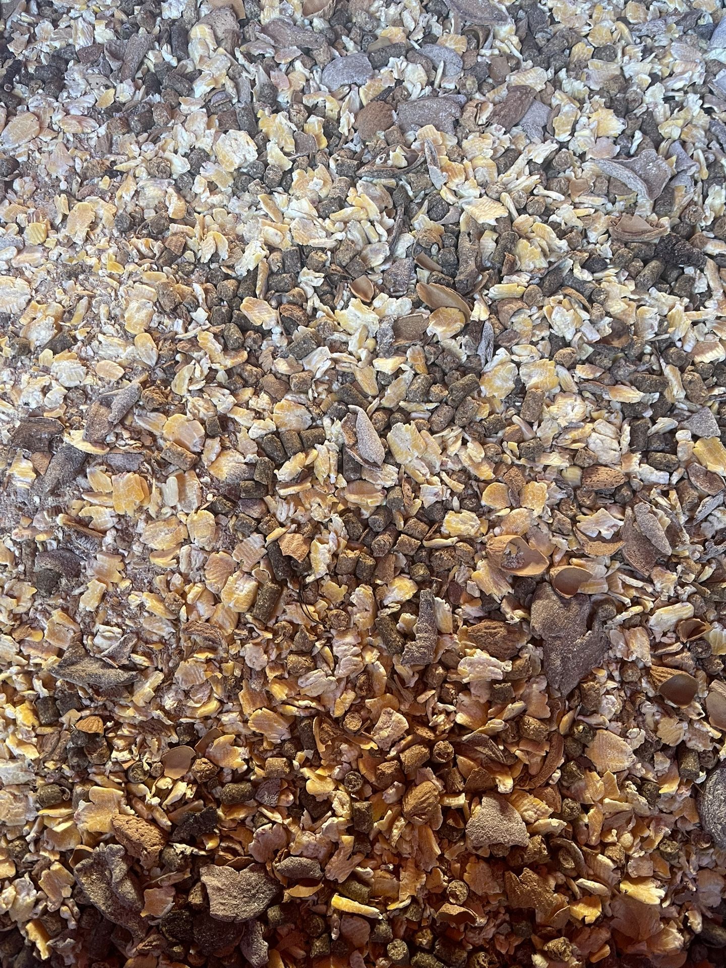 Livestock Feed. Para Vacas Caballos Y Chivos Pastura