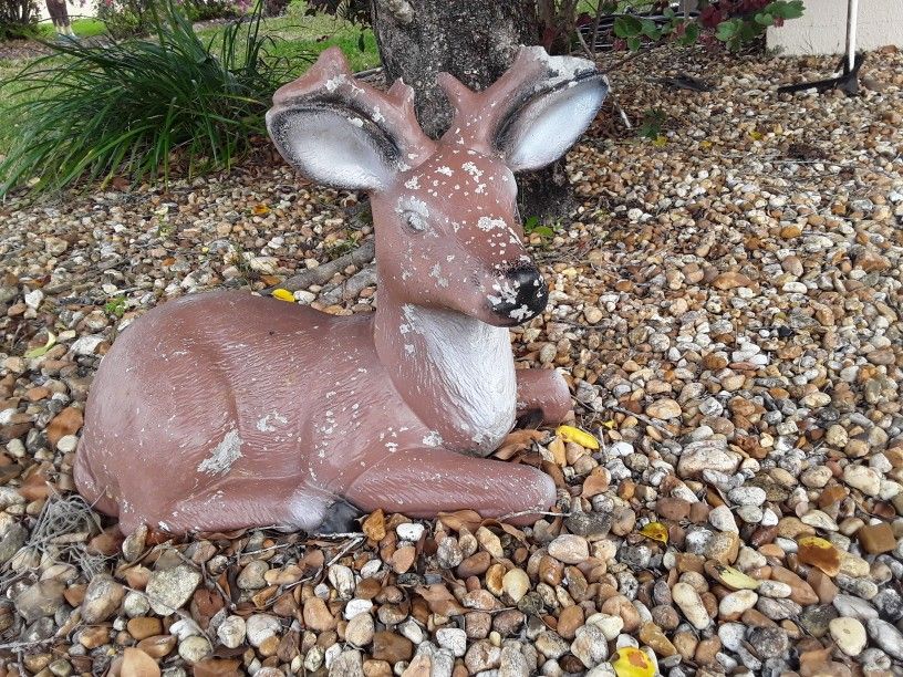Solid Concrete Deer Statue In Weeki Wachee Erea Code 34613