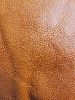 Leather Hide