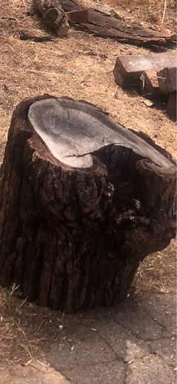 Dry Fire Wood Ready To Spilt & Burn