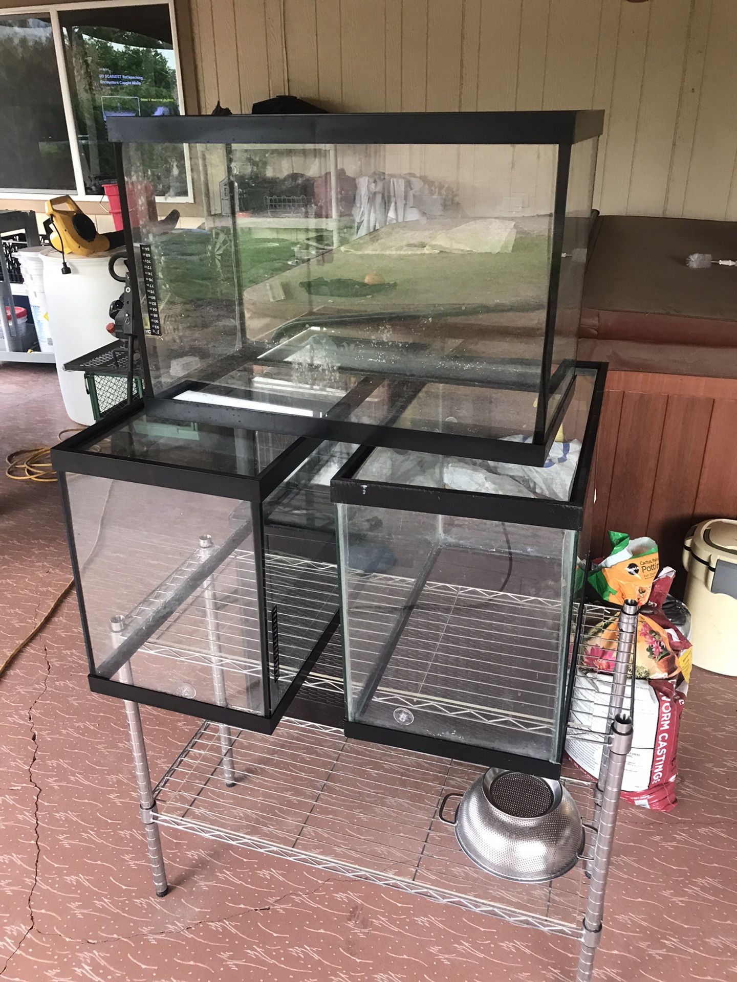 3 20 Gallon Aquariums 