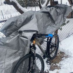 29” Wheelie Mtb