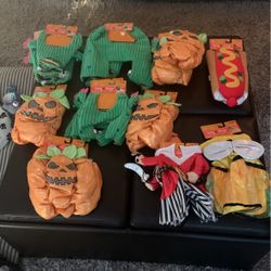 Halloween Costumes For Dogs  