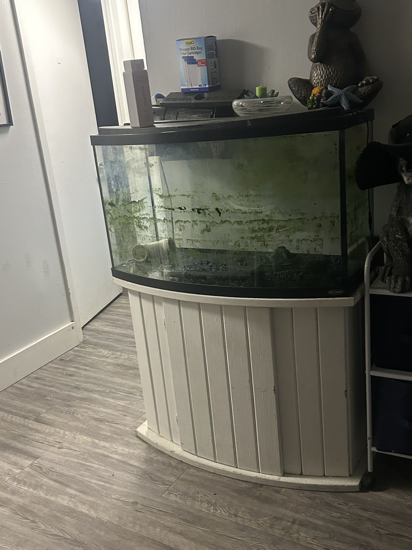 46 Gallon Bow Tank, Stand , Top And Filter !