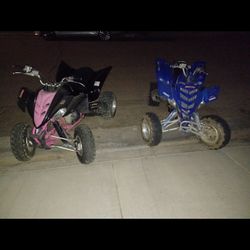 Yamaha 350 An 660  Raptors 